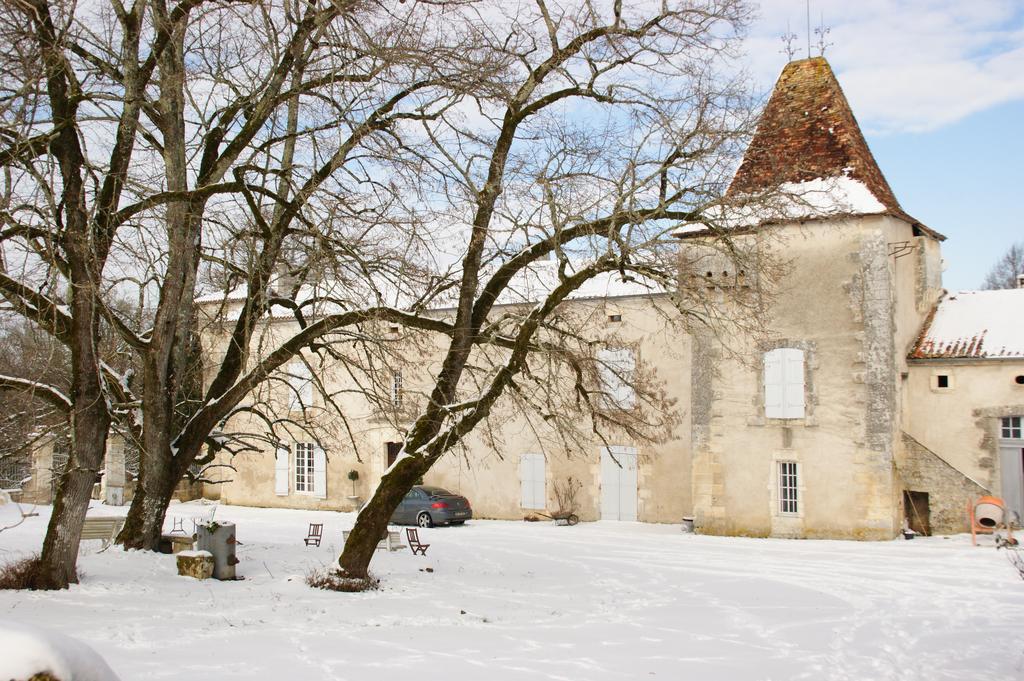 Chateau De La Combe Puyrenier Esterno foto