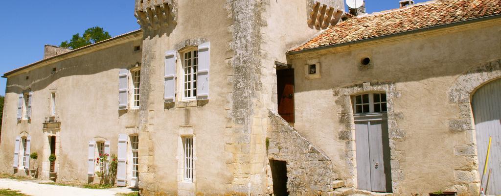 Chateau De La Combe Puyrenier Esterno foto
